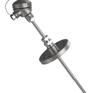r – 731 rtd with straight thermowell & flange